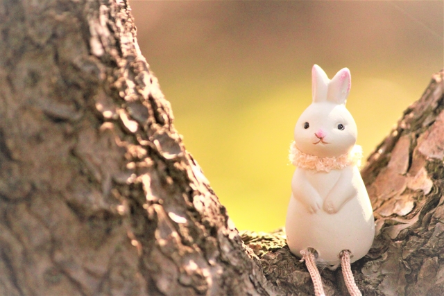 ほっこりウサギ